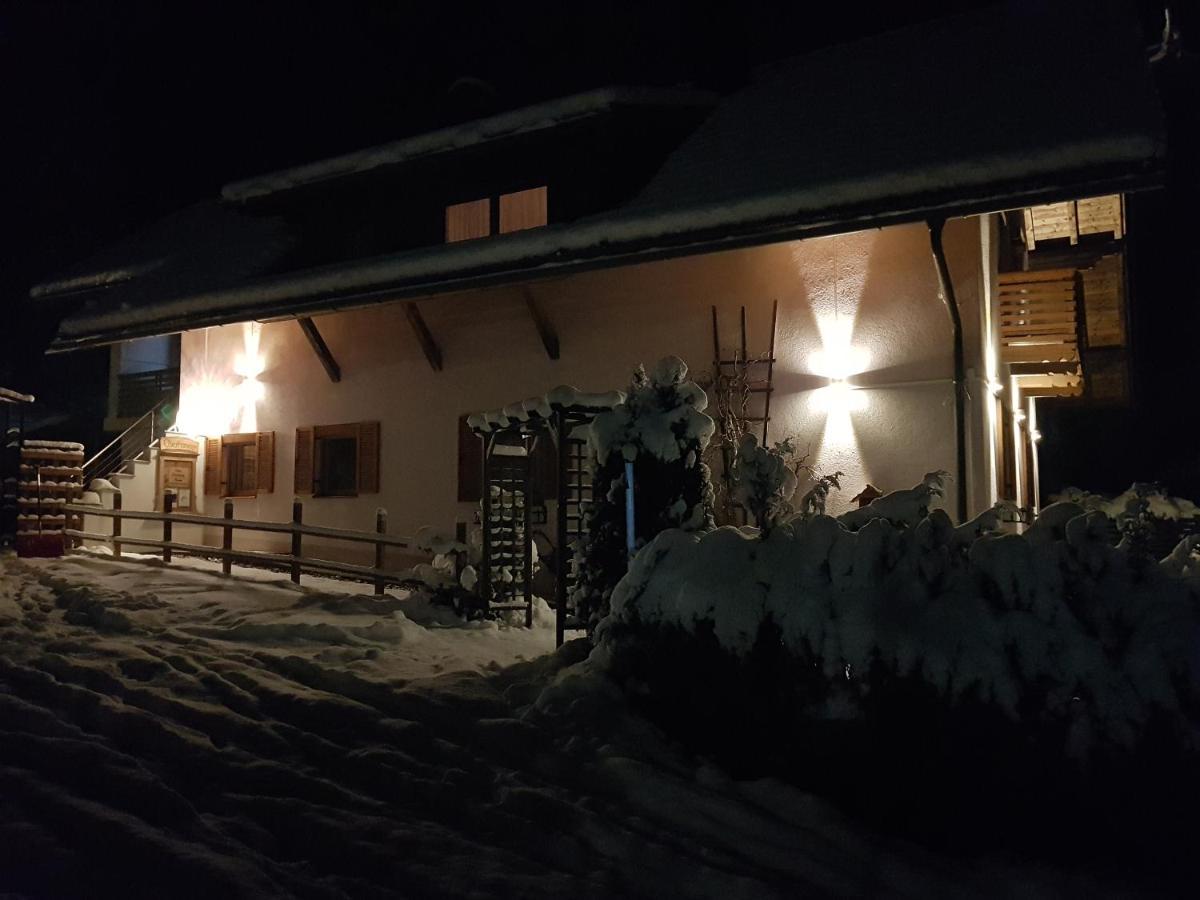 Apartmán Haus Sunshine Hermagor-Pressegger See Exteriér fotografie
